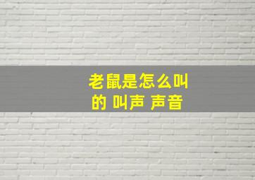 老鼠是怎么叫的 叫声 声音